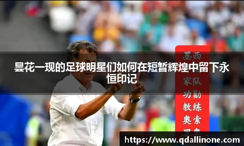 昙花一现的足球明星们如何在短暂辉煌中留下永恒印记